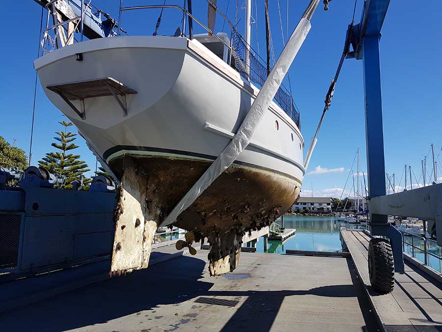 anti foul workshop nelson 2021 stand boat