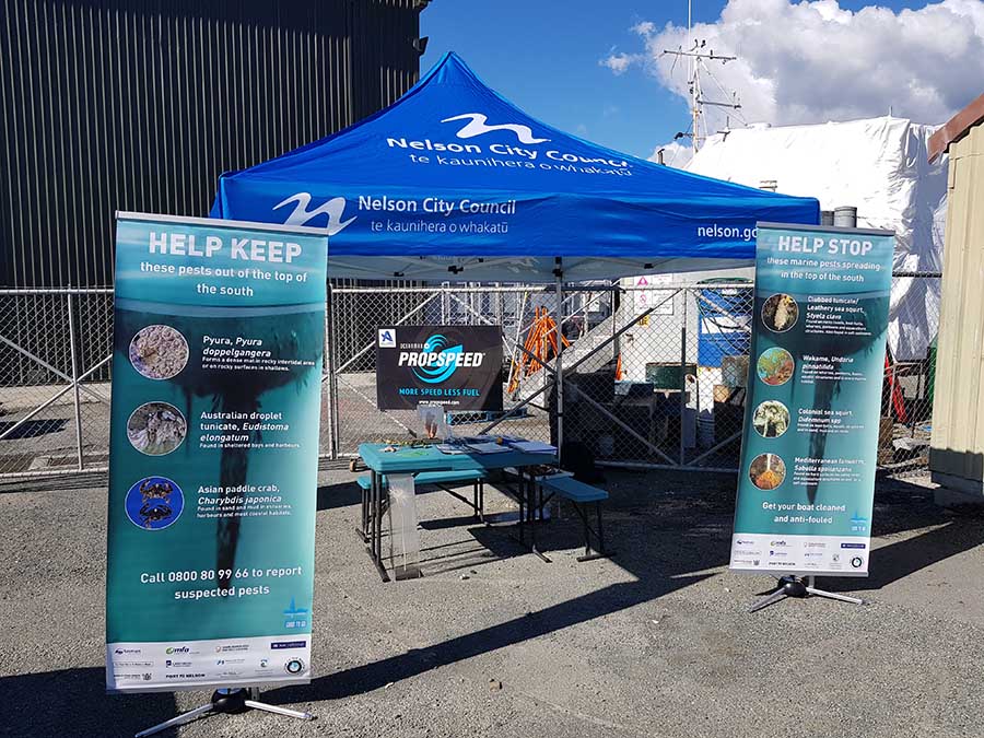 anti foul workshop nelson 2021 stand